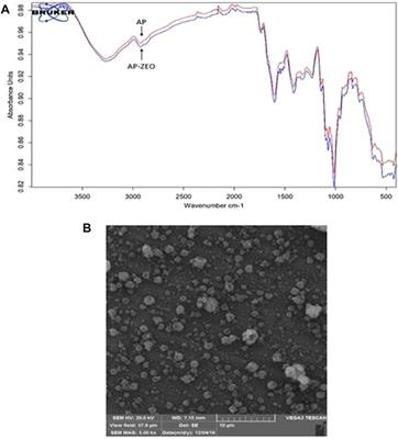 Apple pectin-based Zataria multiflora essential oil (ZEO) nanoemulsion: An approach to enhance ZEO DNA damage induction in breast cancer cells as in vitro and in silico studies reveal